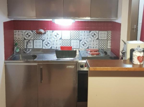 Studio spacieux 4 personnes avec terrasse au pied des pistes - FR-1-804-8